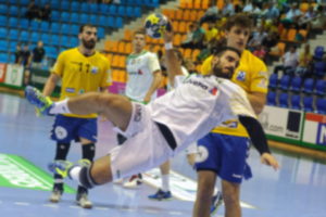 Handball Wetten mit System